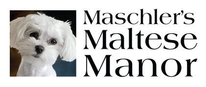 maschlersmaltese.com